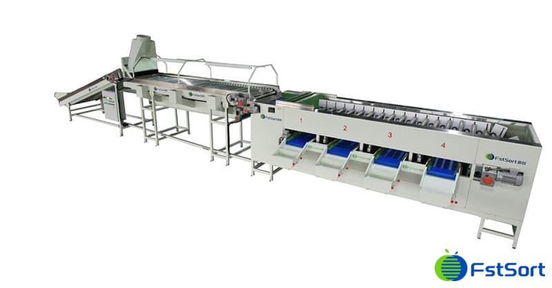 images/1693296332271clasificador de cebolla.jpg